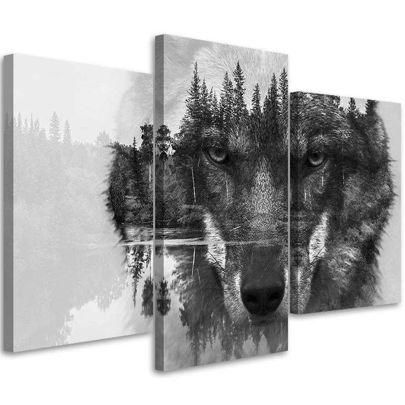 Canvas Schilderij – Wolf  – Drieluik – Dieren