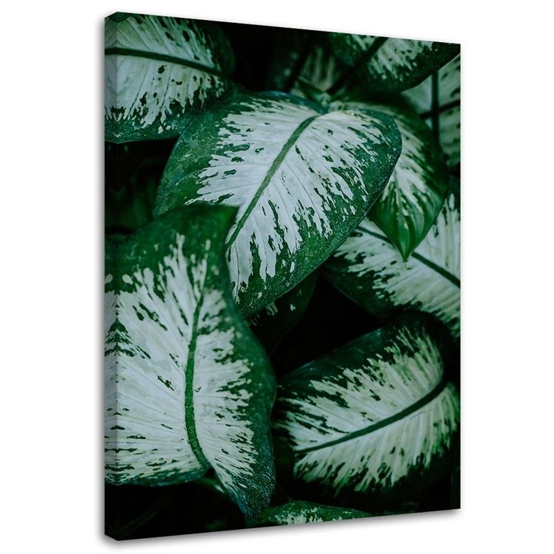 Canvas Schilderij – Tropische Bladeren Wit En Groen  – Schilderijen – Bloemen