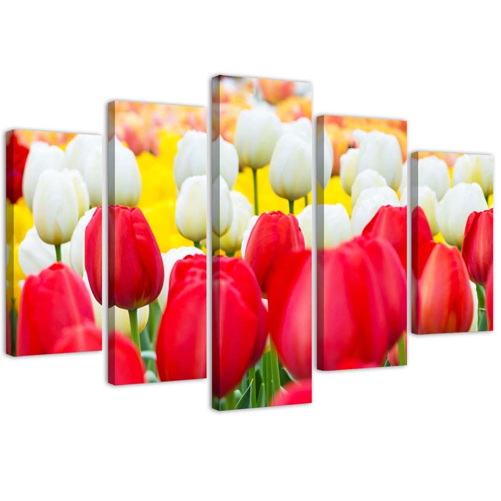 Canvas Schilderij – Witte En Rode Tulpen  – Vijfluik – Bloemen