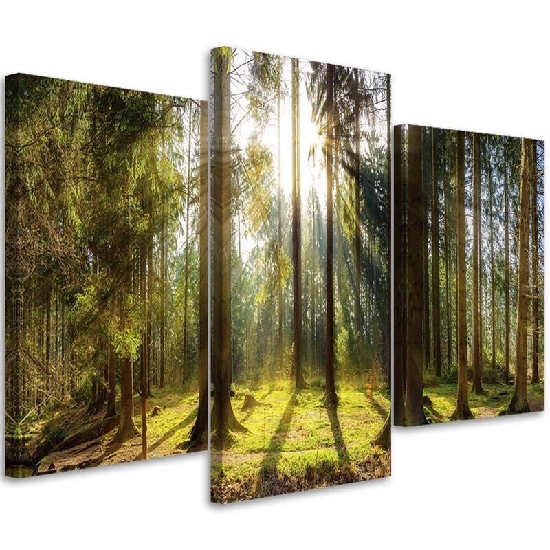 Canvas Schilderij – Zonnige Dag In Het Bos  – Drieluik – Landschappen