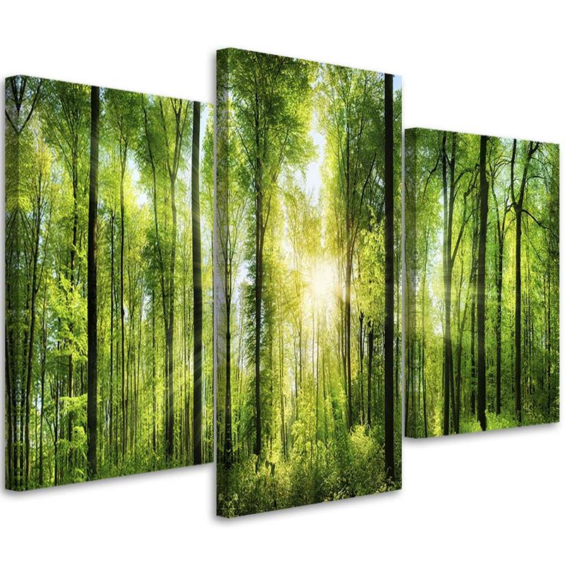 Canvas Schilderij – Zonnestralen In Het Bos  – Drieluik – Landschappen
