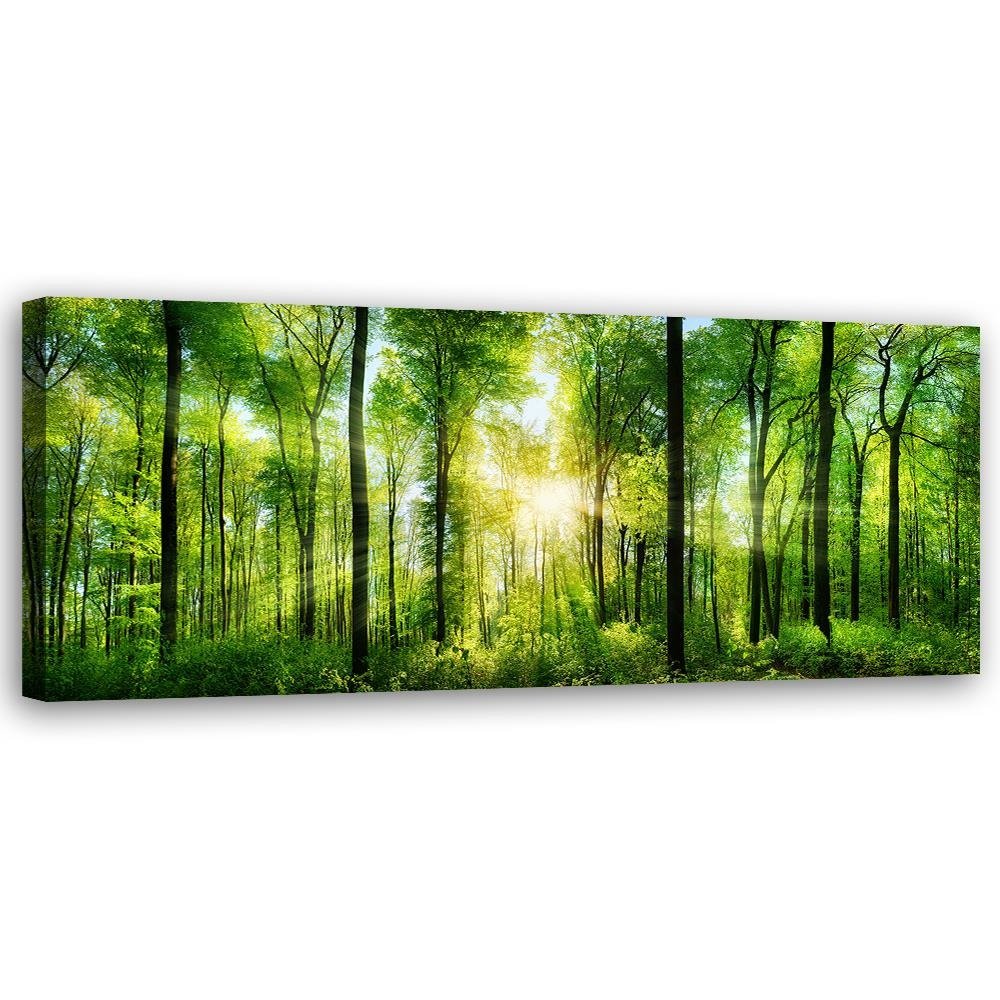 Canvas Schilderij – Zonnestralen In Het Bos  – Schilderijen – Natuur