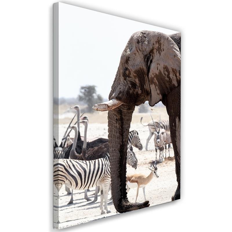 Canvas Schilderij – Dieren Op De Savannah – Elephant Zebras Struisvogels Antilopen  – Schilderijen – Dieren
