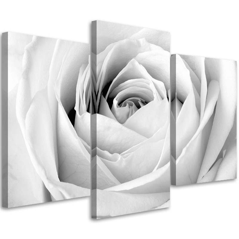 Canvas Schilderij – Witte Roos  – Drieluik – Bloemen