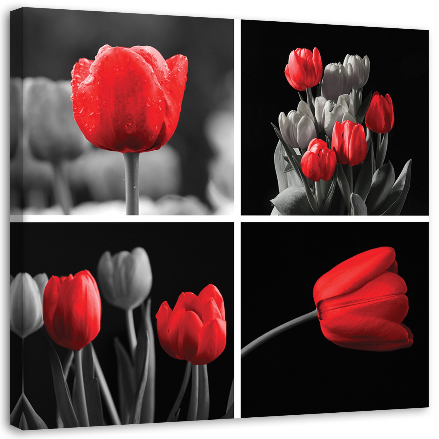 Canvas Schilderij – Set Van Rode Tulpen  – Schilderijen – Bloemen
