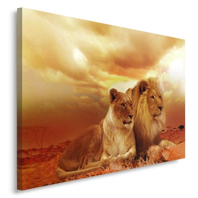 Canvas Schilderij – Paar Leeuwen  – Schilderijen – Dieren