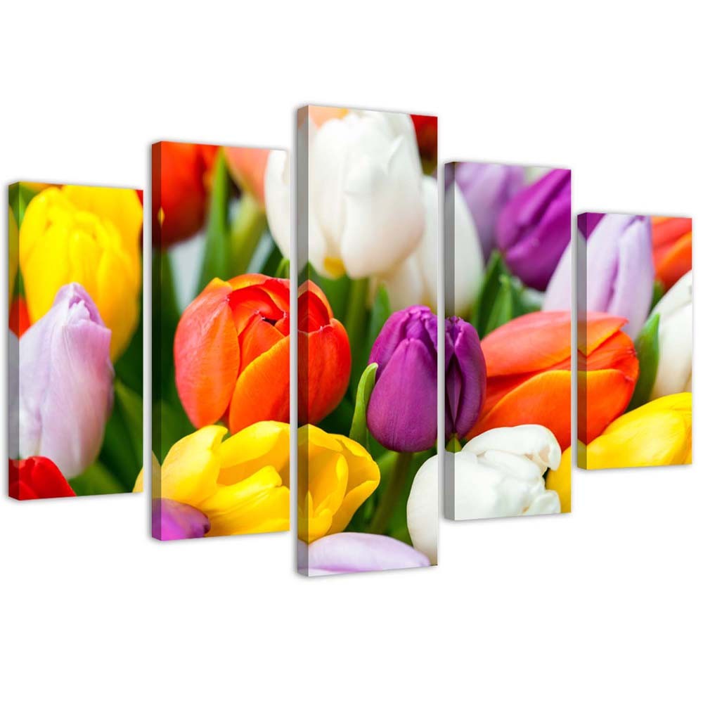 Canvas Schilderij – Gekleurde Tulpen  – Vijfluik – Bloemen