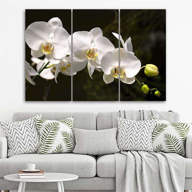 bende Schrijf op stil Canvas Schilderij - Witte Orchidee - Drieluik - Bloemen - Trend24