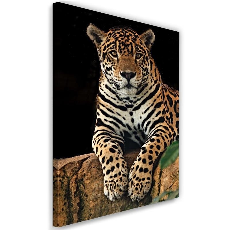 Canvas Schilderij – Rustende Leopard  – Schilderijen – Dieren