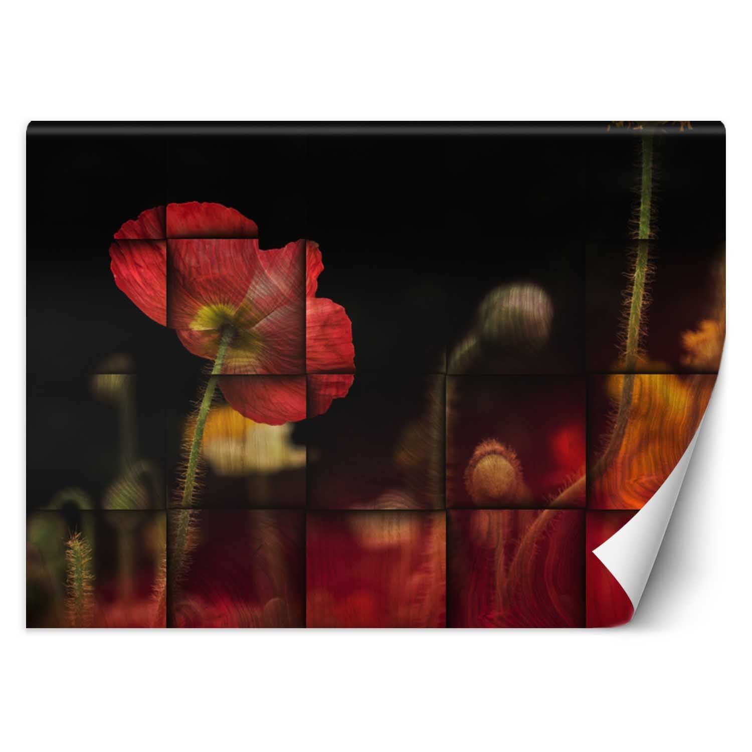 Trend24 – Behang – Rode Papaverbloem – Vliesbehang – Behang Woonkamer – Fotobehang – 350x245x2 cm – Incl. behanglijm