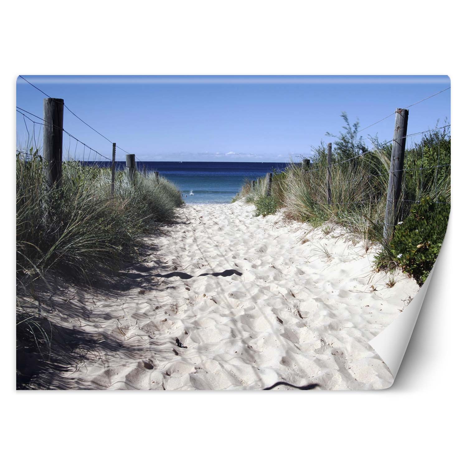 Trend24 – Behang – Strandpad – Behangpapier – Fotobehang Natuur – Behang Woonkamer – 250x175x2 cm – Incl. behanglijm