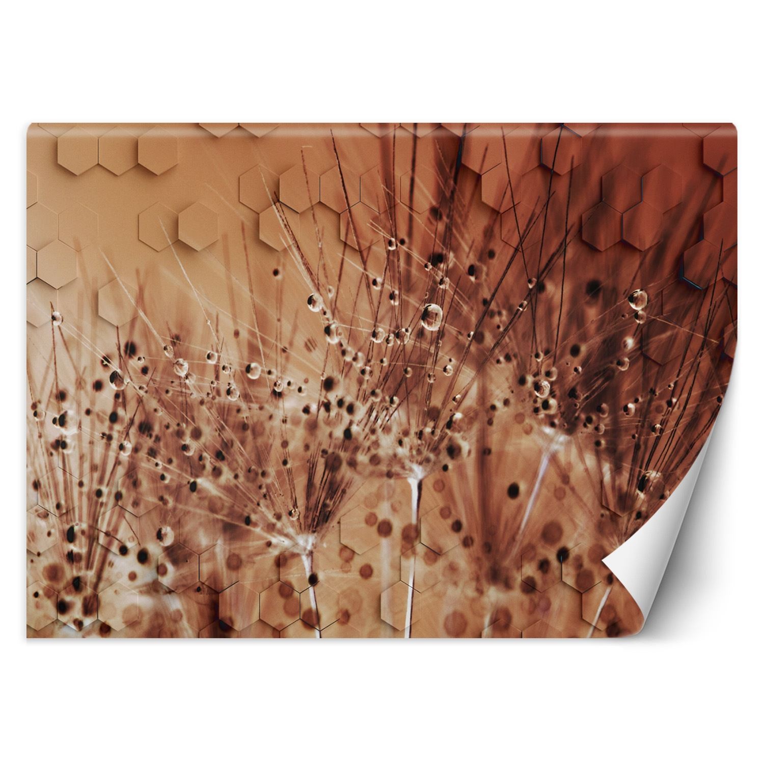 Trend24 – Behang – Dauwdruppels Met Paardebloemen – Behangpapier – Fotobehang 3D – Behang Woonkamer – 450x315x2 cm – Incl. behanglijm