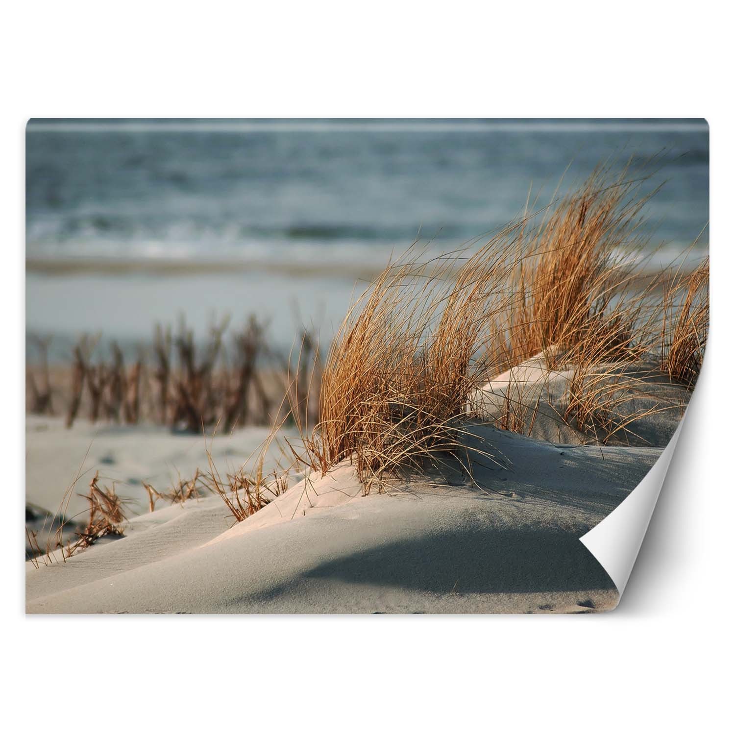 Trend24 – Behang – Duinen Aan De Oostzee – Vliesbehang – Fotobehang Natuur – Behang Woonkamer – 100×70 cm – Incl. behanglijm