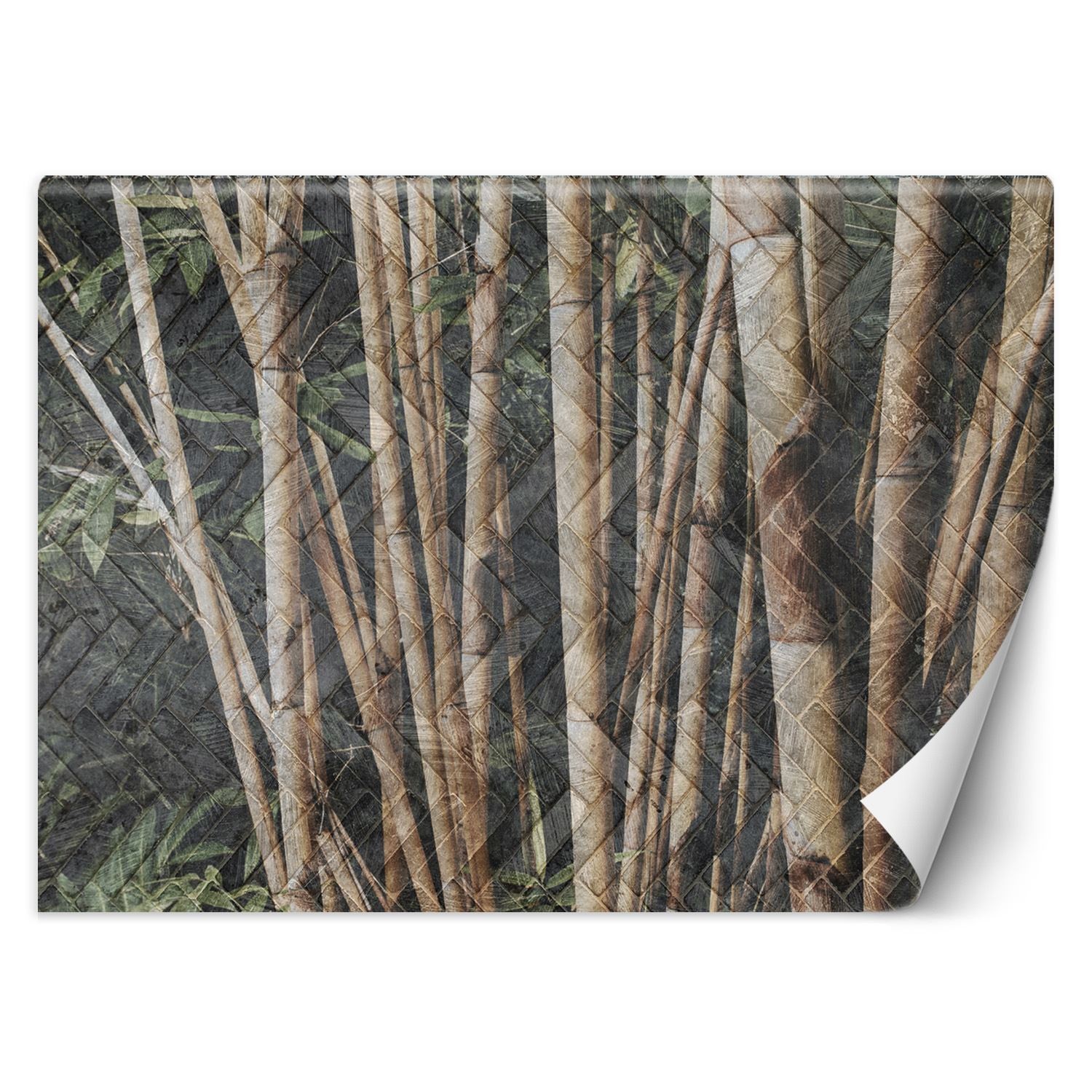 Trend24 – Behang – Bamboo Forest – Vliesbehang – Behang Woonkamer – Fotobehang – 100×70 cm – Incl. behanglijm