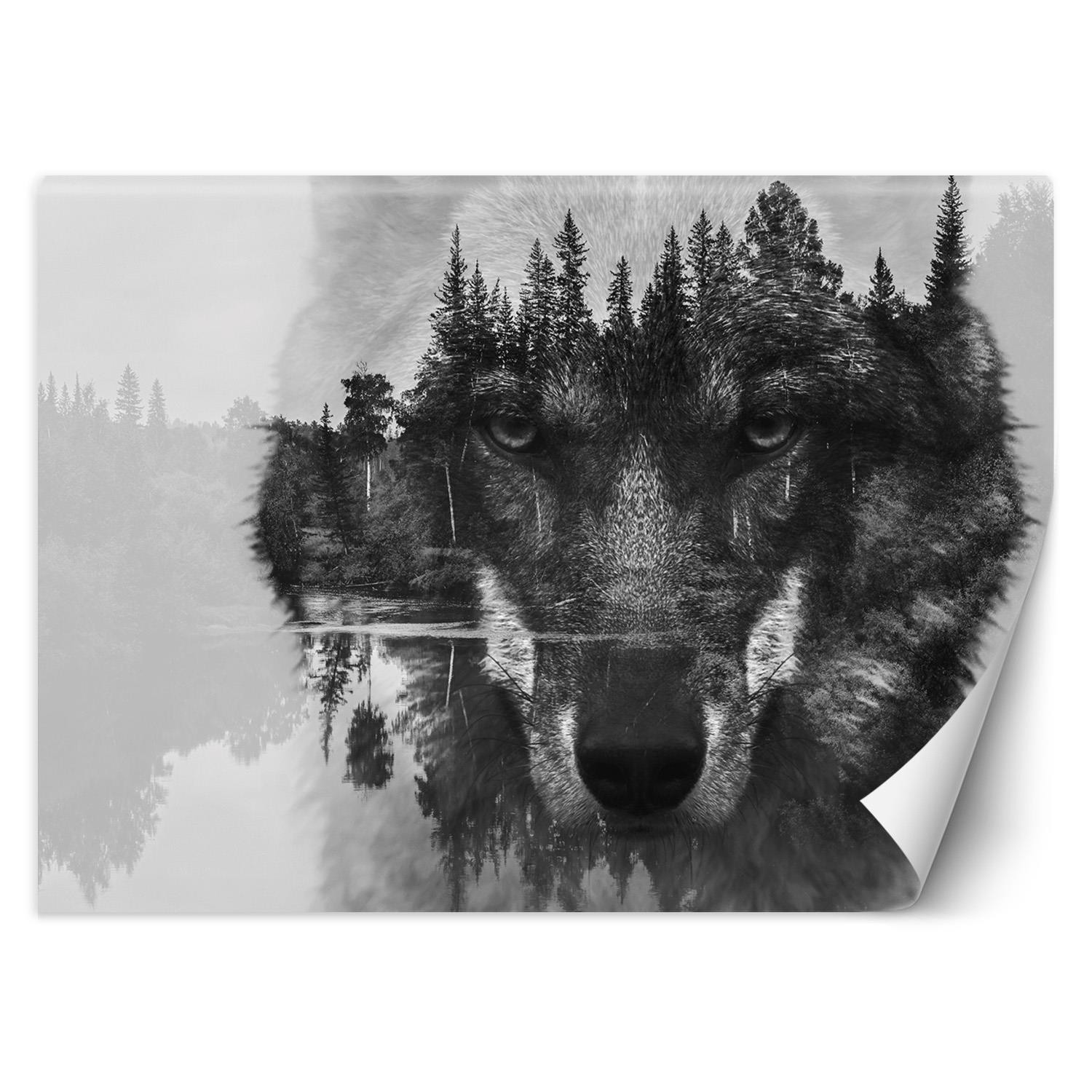 Trend24 – Behang – Wolf En Bos – Behangpapier – Fotobehang Natuur – Behang Woonkamer – 150×105 cm – Incl. behanglijm