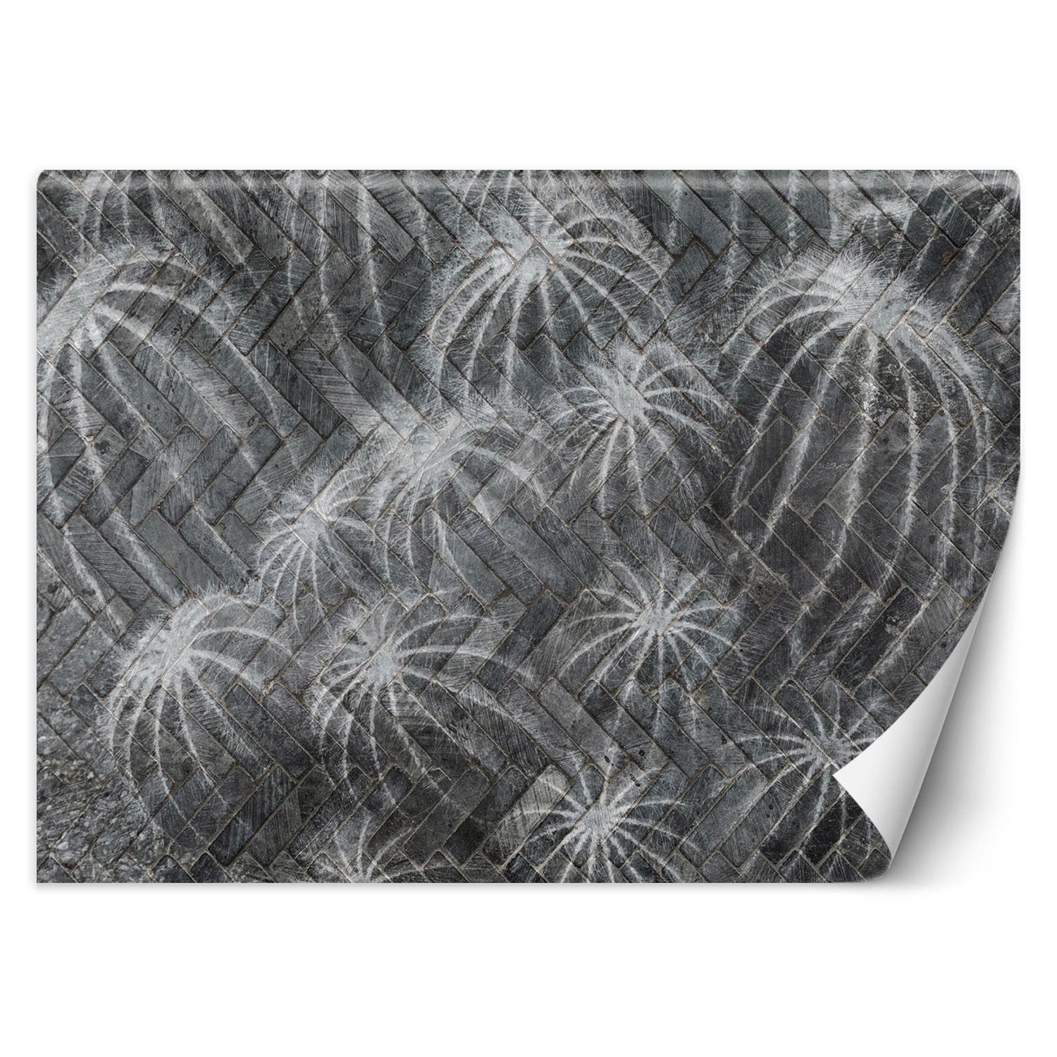 Trend24 – Behang – Cactussen In Grijs – Vliesbehang – Behang Woonkamer – Fotobehang – 350x245x2 cm – Incl. behanglijm