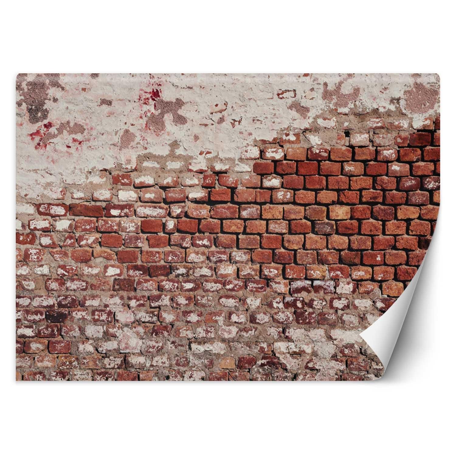 Trend24 – Behang – Oude Bakstenen Muur – Behangpapier – Behang Woonkamer – Fotobehang – 450×315 cm – Incl. behanglijm