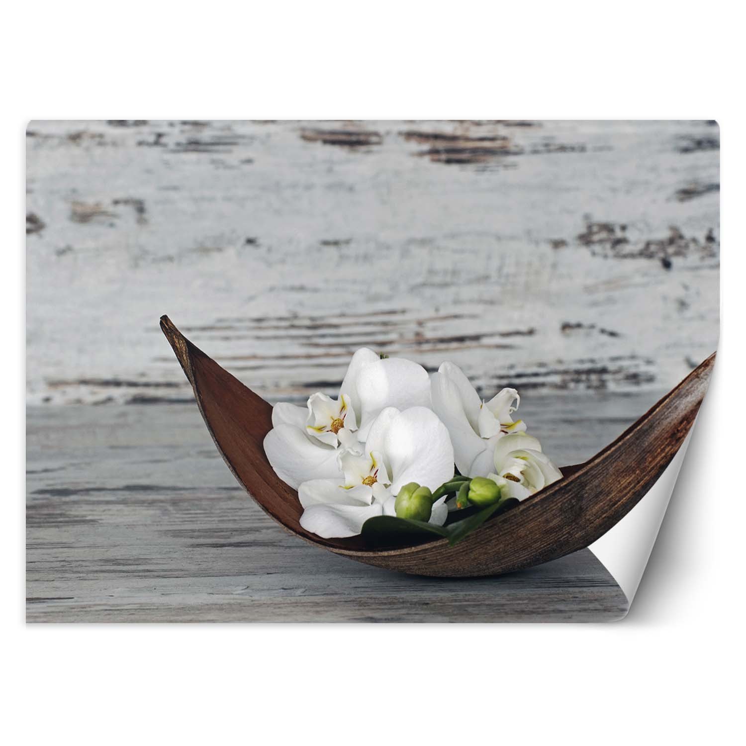 Trend24 – Behang – Zen-Orchideeën – Behangpapier – Fotobehang – Behang Woonkamer – 450x315x2 cm – Incl. behanglijm