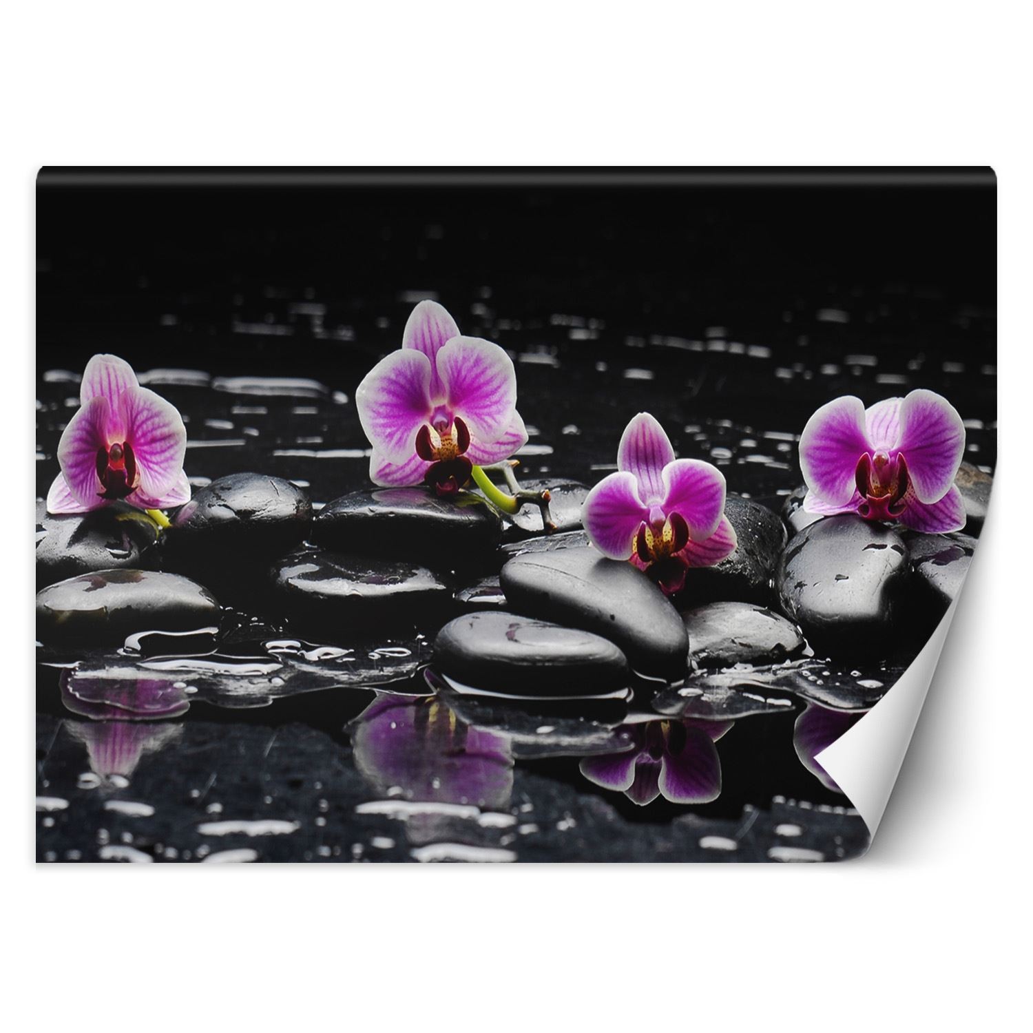 Trend24 – Behang – Zen Stones & Orchid – Behangpapier – Fotobehang – Behang Woonkamer – 450x315x2 cm – Incl. behanglijm