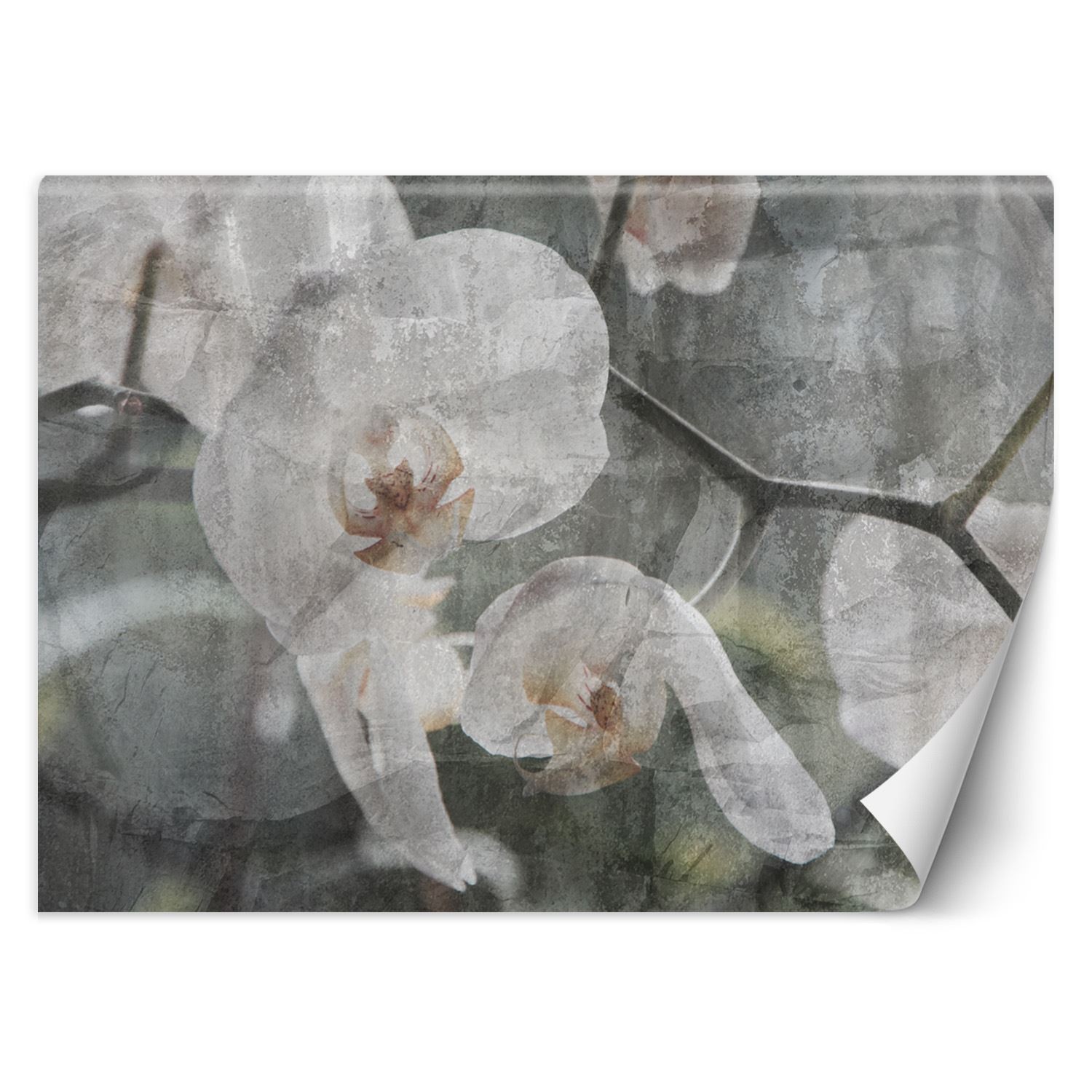 Trend24 – Behang – Orchidee Vintage – Vliesbehang – Behang Woonkamer – Fotobehang – 350x245x2 cm – Incl. behanglijm