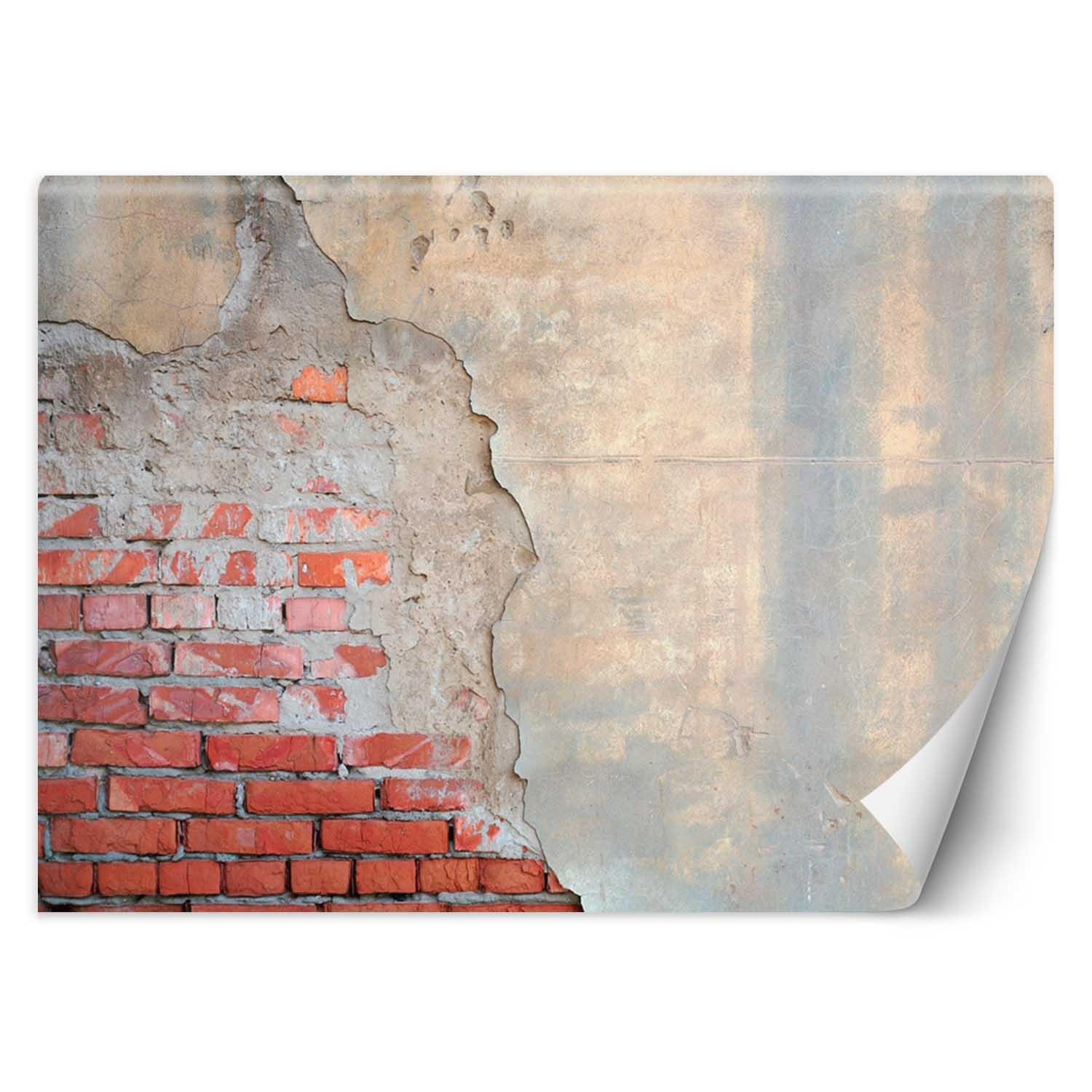 Trend24 – Behang – Bakstenen Muur – Vliesbehang – Behang Woonkamer – Fotobehang – 450x315x2 cm – Incl. behanglijm