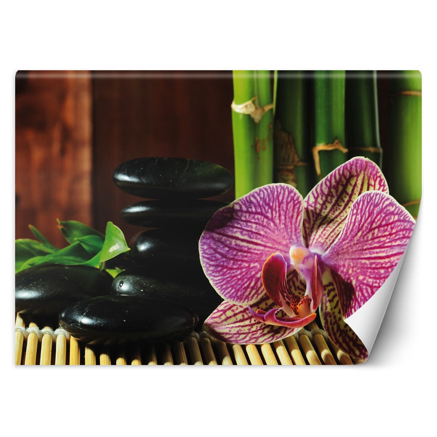 Trend24 – Behang – Orchid – Vliesbehang – Fotobehang – Behang Woonkamer – 400x280x2 cm – Incl. behanglijm
