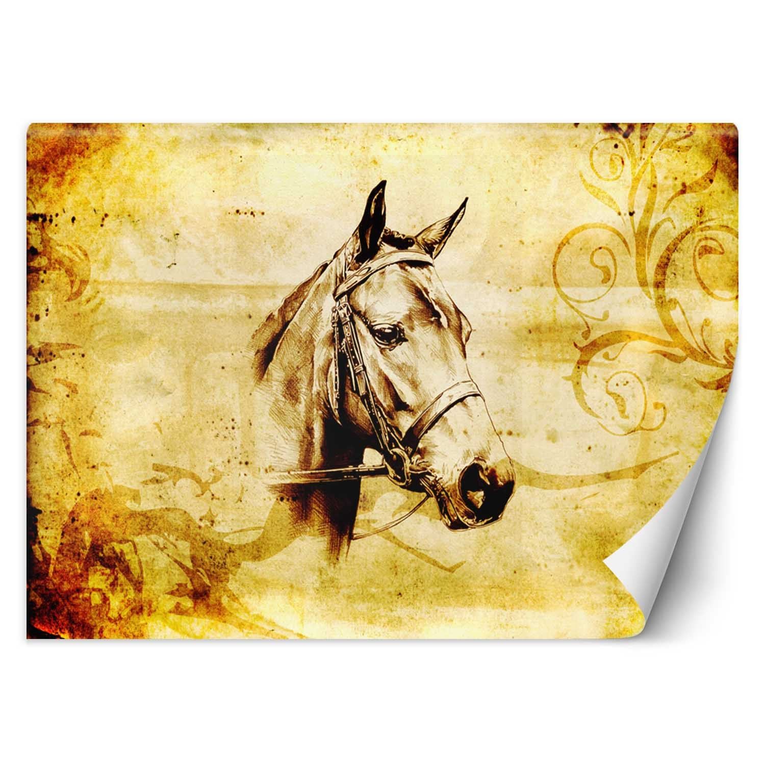 Trend24 – Behang – Schets Van Een Paard – Behangpapier – Fotobehang Dieren – Behang Woonkamer – 250x175x2 cm – Incl. behanglijm
