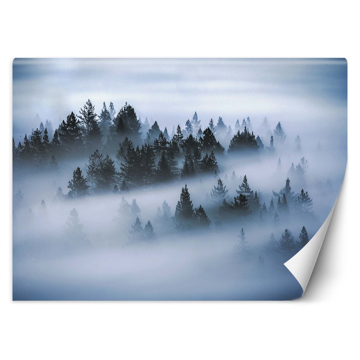 Trend24 – Behang – Mistig Bos – Vliesbehang – Fotobehang Natuur – Behang Woonkamer – 254×184 cm – Incl. behanglijm