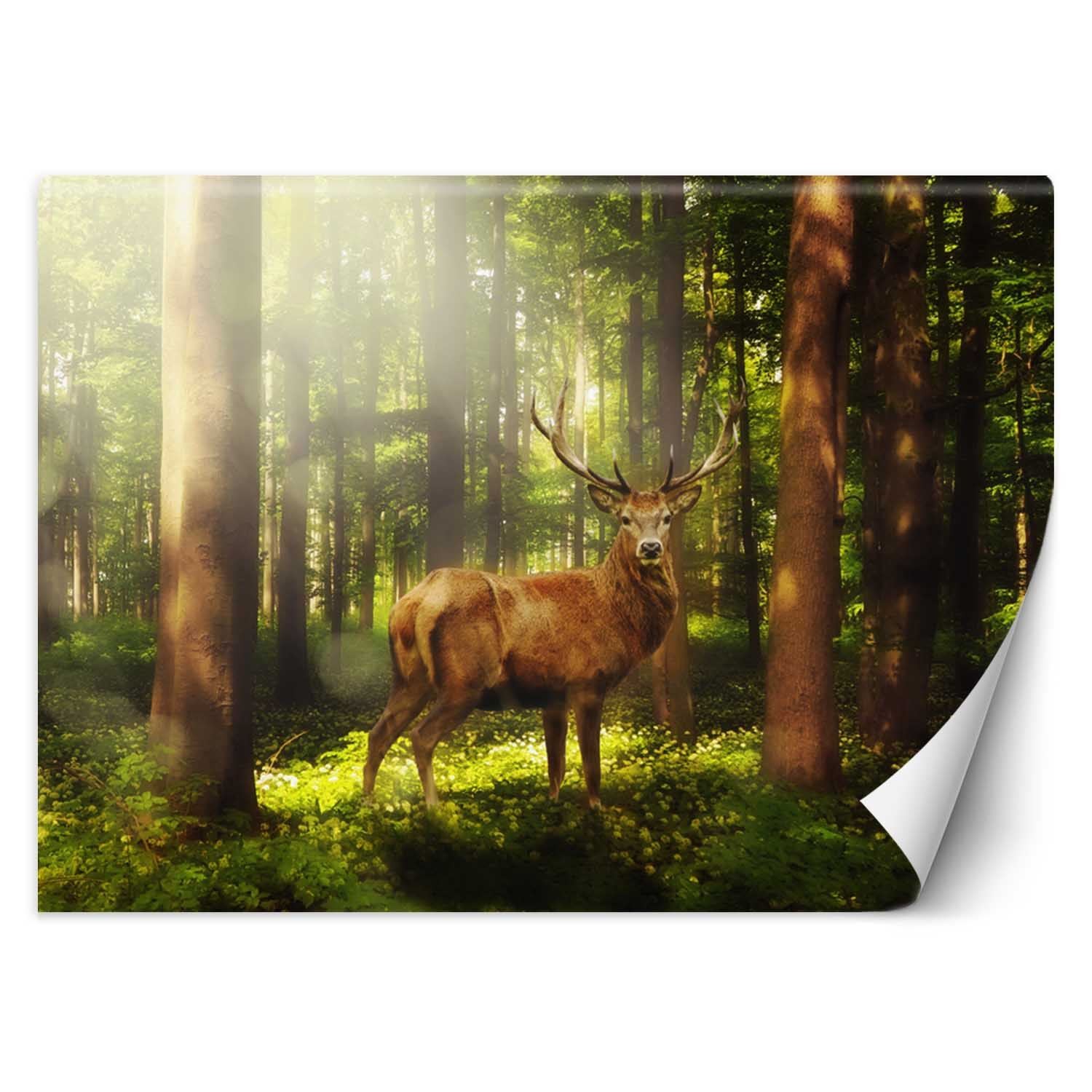 Trend24 – Behang – Hert In Het Bos – Vliesbehang – Fotobehang Dieren – Behang Woonkamer – 350×245 cm – Incl. behanglijm