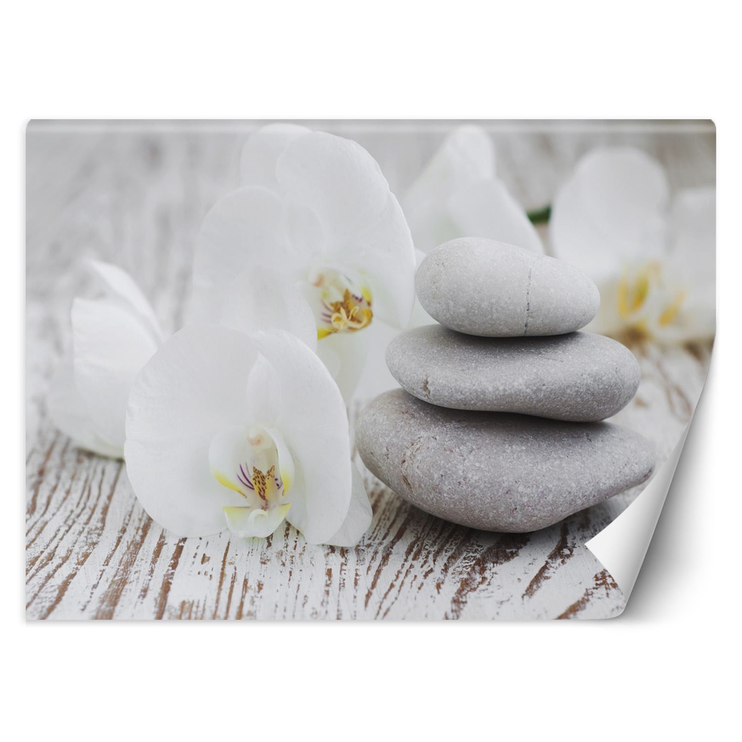 Trend24 – Behang – Flowers & Zen Stones – Vliesbehang – Fotobehang – Behang Woonkamer – 350×245 cm – Incl. behanglijm
