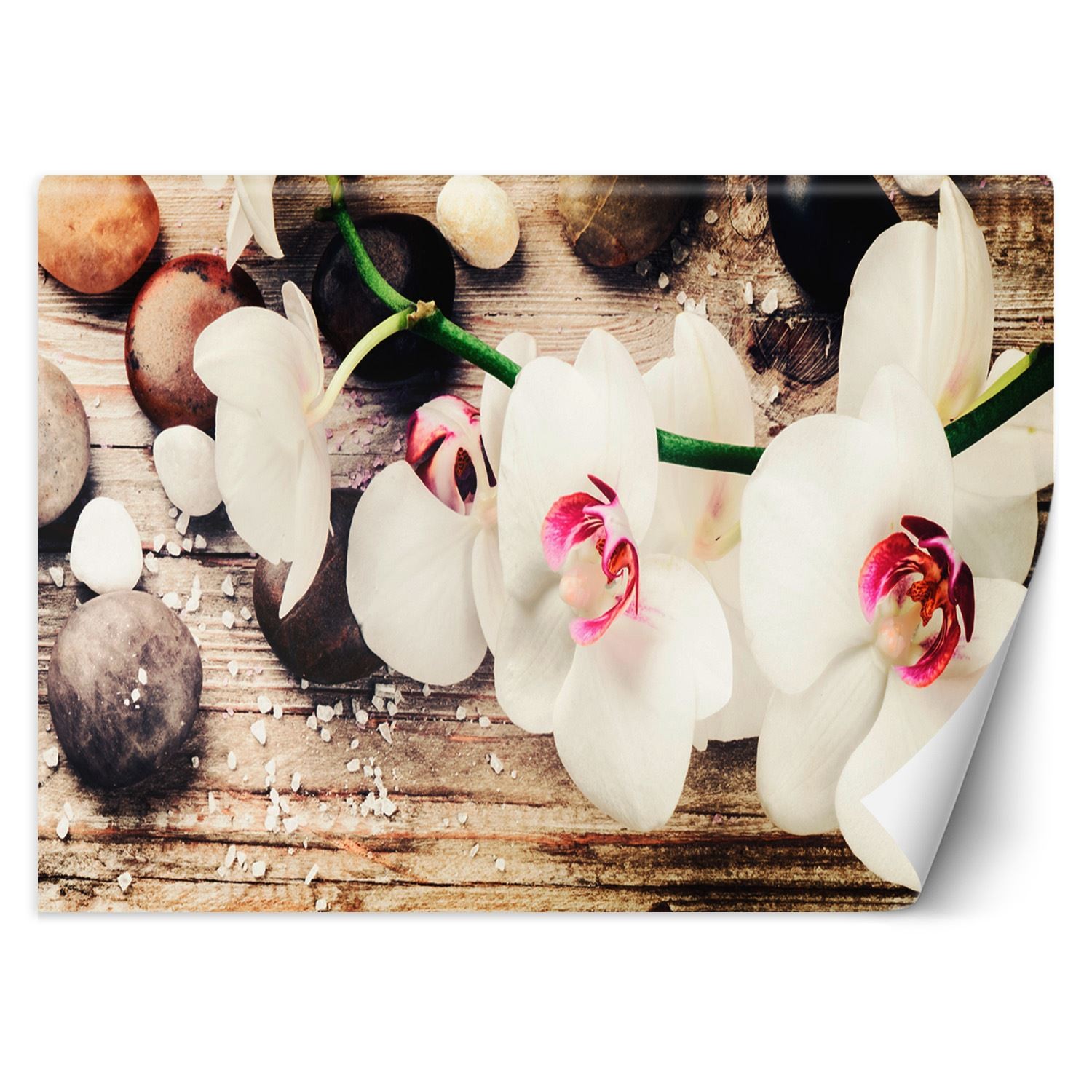 Trend24 – Behang – Zen-Orchideeën – Vliesbehang – Fotobehang – Behang Woonkamer – 450×315 cm – Incl. behanglijm