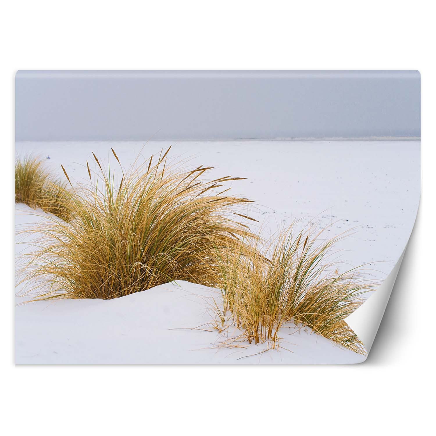 Trend24 – Behang – Duinen Op Gouden Zand – Behangpapier – Fotobehang Natuur – Behang Woonkamer – 250x175x2 cm – Incl. behanglijm